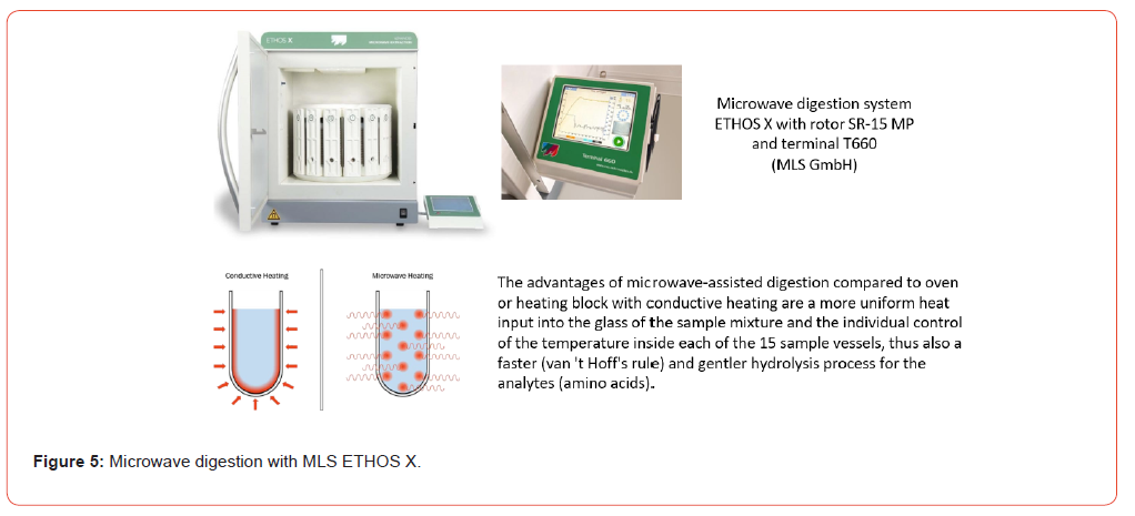Click here to view Large Figure 5 Insights in Chemistry and Biochemistry